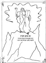 שבועות 6